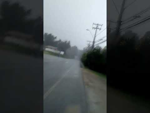 el tabo - tabito #lluvia #eltabo #tabito