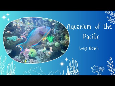 Aquarium of the Pacific-Long Beach