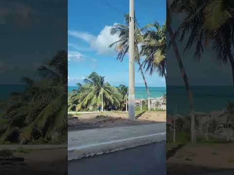 natal rn