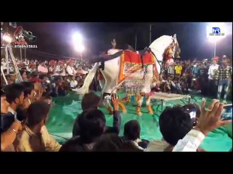 बेगो बेगो हाक थारा घोड़ा ने || न्यू मारवाड़ी लाईव भजन !! शानदार गोड़ी डांस // रूणिचा दरबार