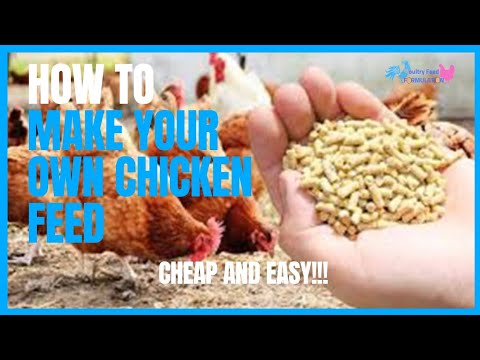 Make Your Own Chicken Feed At Home With This Simple Recipe (HD Quality)