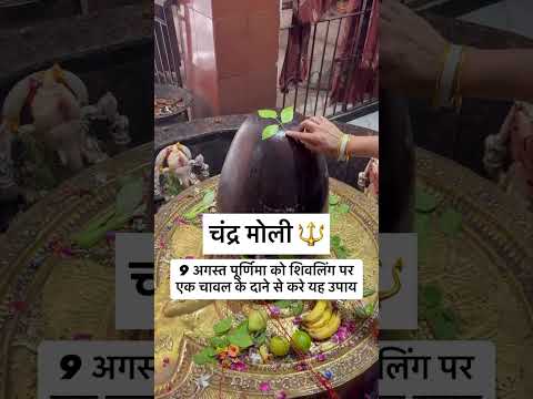 purnima k din ye upaay jrur kriye #pradeepmishrajidhankeupay #motivation #facts