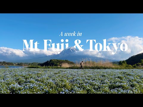 Mt Fuji & Tokyo Travel Vlog | flower festival, Fuji viewpoints, quiet areas in Tokyo