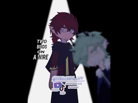 twoo birdss on a WIIIREE🔥✌️😰(stabbed u again uhoh/ib @Lucky_sus){#gacha#xellarey#fyp#edit#trend}
