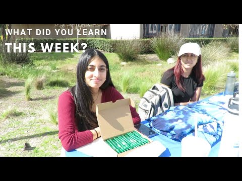 What do College Students Learn in a Week?