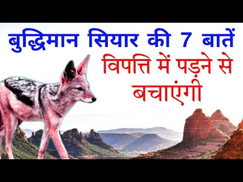 #सियार ने बताया मनुष्य क्यों रहता है गरीब, ज्ञानवर्धक कहानी जरूर सुने,#cowstory