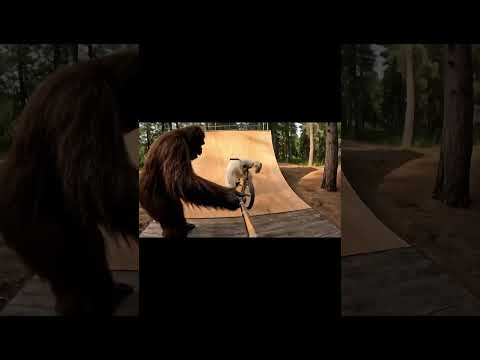 Ralph will be ok. I think. #bigfoot #bigfootvlog #yeti #ai #funny #drop #campycreatures #humor #rip