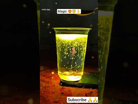 हल्दी वाला magic 😇👌✅#shortvideo #trending #viralvideo #magic 😇🙏💯