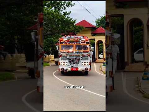 *මහියංගනේ ආපු කෝල සිතැත්ති 🤍පවුලේ සෙට් එකම පොලිමට 🥰* #bus #trending #viralshort