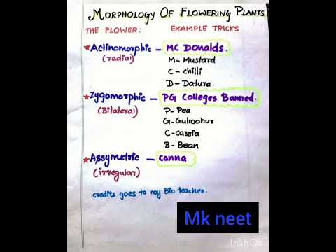 Morphology of flowering plants.examples tricks.part_3 #mkneet #neet #neet2022