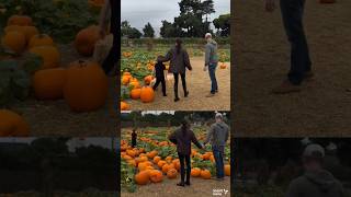 Harry and Meghan Bring Prince Archie & Princess Lilibet to Pumpkin Patch | Harry Carves Pumpkin