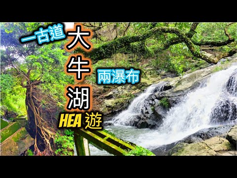 【夏天消暑1.5小時Hea遊】大牛湖歷史故事~遊走古道，欣賞2條瀑布~小夏威夷瀑布.蓮苑台瀑布