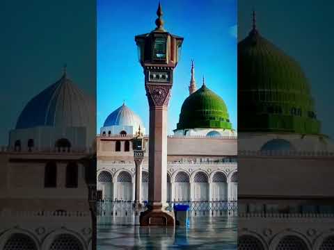 Jashn e Amad e Rasool - Farhan Ali Qadri #islam #freepalestine #shorts #youtubeshorts #shortvideo
