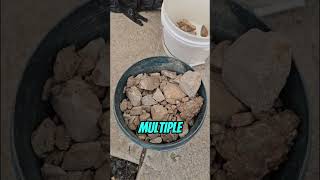 Very rich ore crush #ore #goldmining #gold #metaldetecting