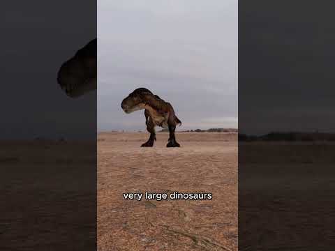 How Many Humans Would a T-Rex Eat?! 🧐
