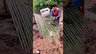 Amazing Fishing Video #bigfishvideo #fishinglife #bigfish #fish #fishing