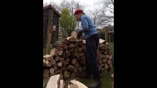 " Hava Nagila " 5 #harmonica #working #wood #humor #funny #harmonicaplayer #entertainment #shorts