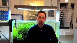 B&B: A human embryonic stem cell line adapted for high throughput screening