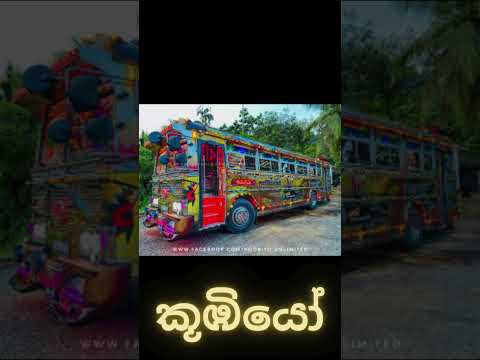 සිංදුවල නම් තියෙන බස් 🥰💖 | #automobile #bus #dj #srilanka #duet #buses #dhamrajini #driver #mayakari
