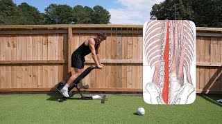how to CURE back pain.