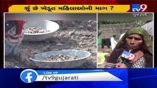 Girsomnath: Groundnut farmers seek govt help after facing huge loss due to rain