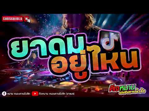 สายปาาร์ตี้_ Ep_2 #party 🔥#tiktok2025 #edm #ดีเจดิว 🔥#เพลงตึ๊ดๆ #ดีเจหมานหนองคายมิวสิค🔥🔥🔥😍😍😍