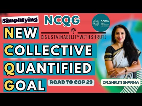 New Collective Quantified Goal I NCQG I NDC I COP 29 I Climate Change I Climate Equity I CBDR