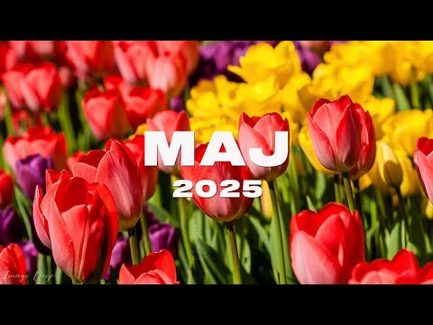 Eska Hity Maj 2025 * Najnowsze Przeboje z Radia Eska 2025 * Najlepsza radiowa muzyka 2025 #4