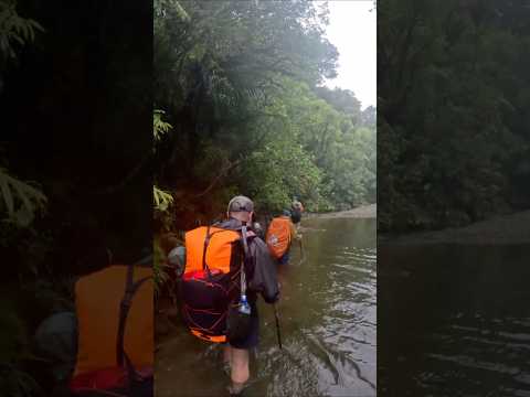 My first TA river hike was a stunner, definitely my favourite day so far.. rain, mud, eels and all