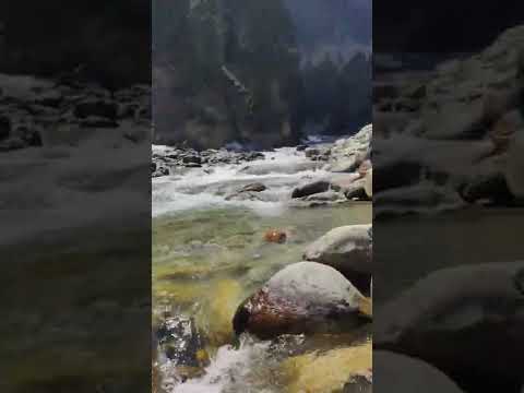 Kashmir through my lense #kashmir #kashmirtourism #kashmirtouristplaces #ytshorts#indiashorts