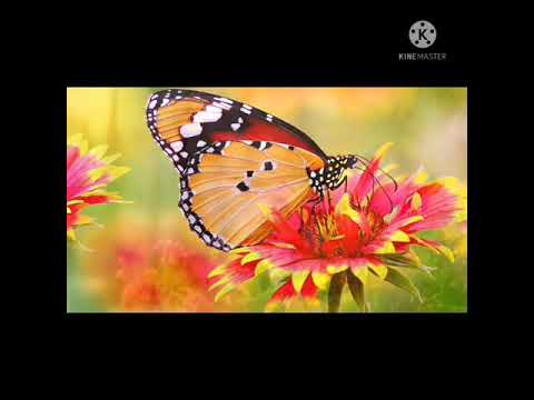 motivationla Rilex Stetion by बादशाह motivation #short
