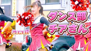 ダンス部チアさんの素敵なステージ風景【にゃるこ】