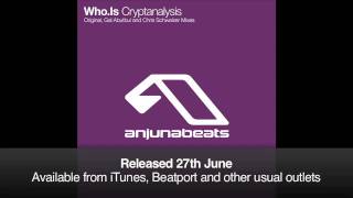 Who.Is - Cryptanalysis (Chris Schweizer Remix)