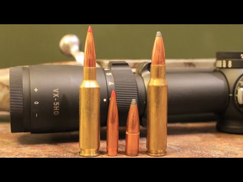 6.5 Creedmoor vs 308 Winchester: Which One Should You Hunt With?