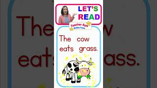 lets practice reading sentences #teacherayaonlinetutor #shorts #reading