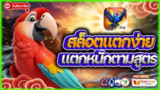 สล็อต สล็อตpg สล็อตแตกง่าย สล็อตวอเลท | รวมสูตรลับ พิสูจน์แตกจริง