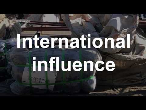 5 International Influence