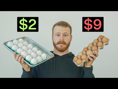 Are Expensive Eggs actually worth it?