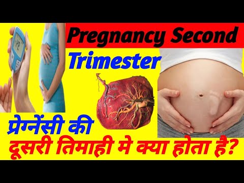 Pregnancy Second Trimester in Hindi || प्रेगनेंसी की दूसरी तिमाही में क्या होता है ??