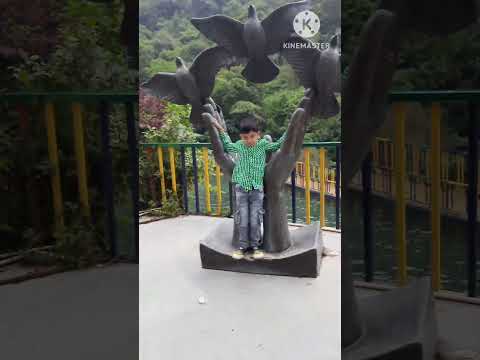 #Shorts Exclusive: The Most Entertaining and Charming Bhattafalls Mussoorie Thumkeswari Song!