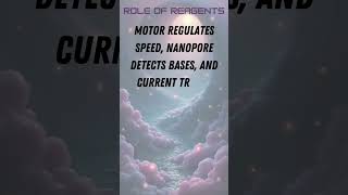 Long-Read RNA Sequencing (Nanopore)