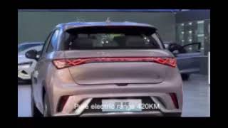 Small New Energy Sedan Byd Dolphin Three Different Versions EV Type, EV Car, New Energy Car