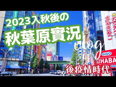 【日本獨旅】2023入秋後の秋葉原真實體驗旅遊實況Vlog.後疫情時代.神田萬世橋.原神崩鐵壁報.模型公仔.友都八喜.唐吉訶德.神田明神神社.聖橋.昌平橋