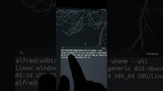 🐧 Learn Linux in 30 Days. Day 7! #Linux #LearnLinux #CyberSecurity #EthicalHacking #HackTools