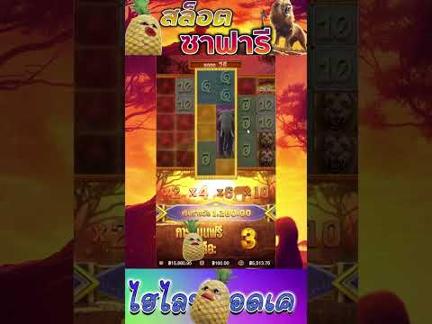 สล็อตPG | Safari Wilds | สล็อตซาฟารี | น้ำตาจะไหล !!