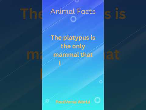 Animal Facts #animals #facts #viralshorts