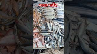 वनगाव मार्केट //#fish  #fishing #explore #viral #trending #shortvideo #market