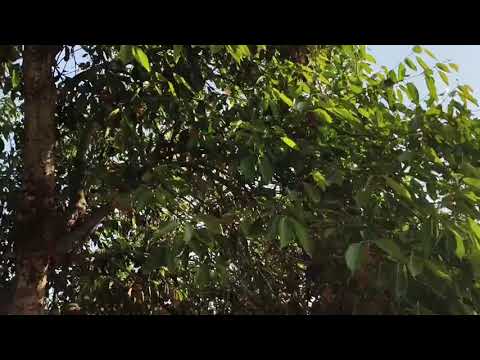 My vlog No 6