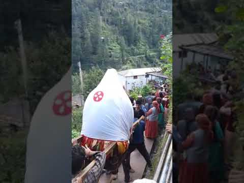 रैक के दौरे के बाद आज देवता साहिब मंदिर को वापिस जाते हुए❤️ #devtajisher