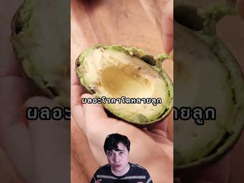 เครื่องวัดความสุกผลอะโวคาโดที่ฟินแลนด์ #เรื่องเล่า #เครื่องตรวจอะโวคาโด #avocado #ไวรัล #shorts